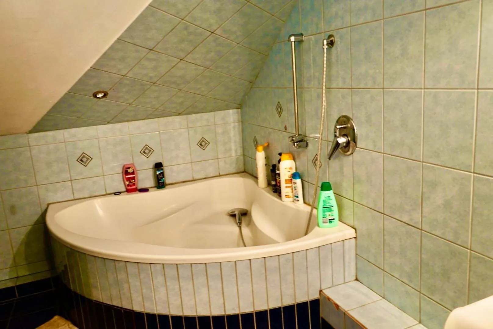 Homestay Schoepfwerk Hostel 10 Vienna